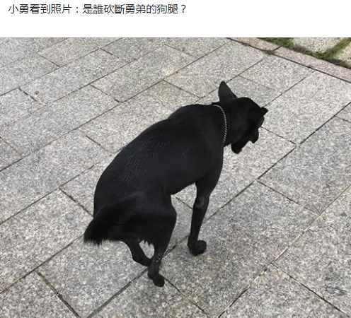 ⭐高权重的
探探独享号
去哪买不用担心被骗